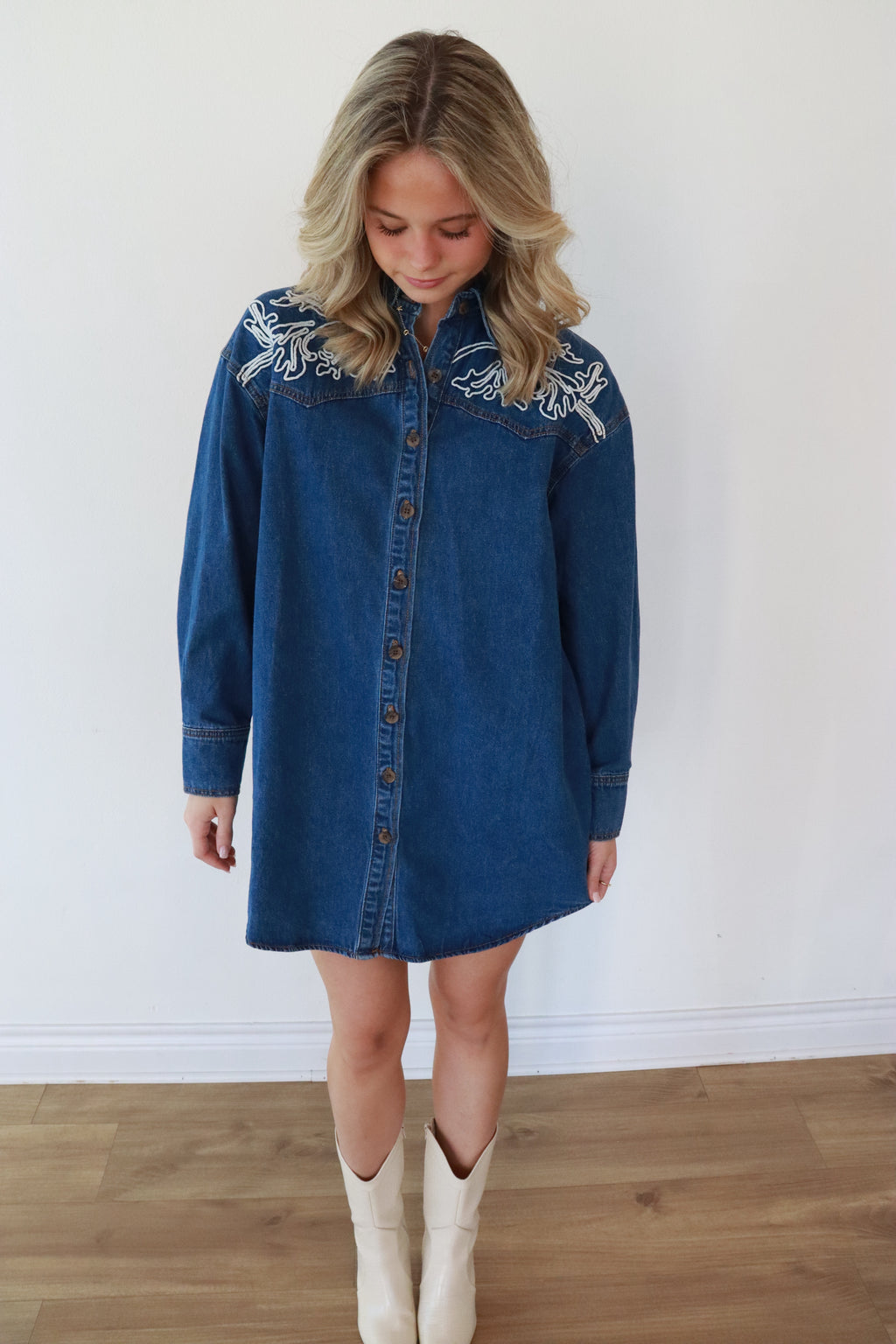 Ellison Denim Button-Down Dress