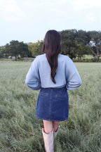 Penn Denim Skirt