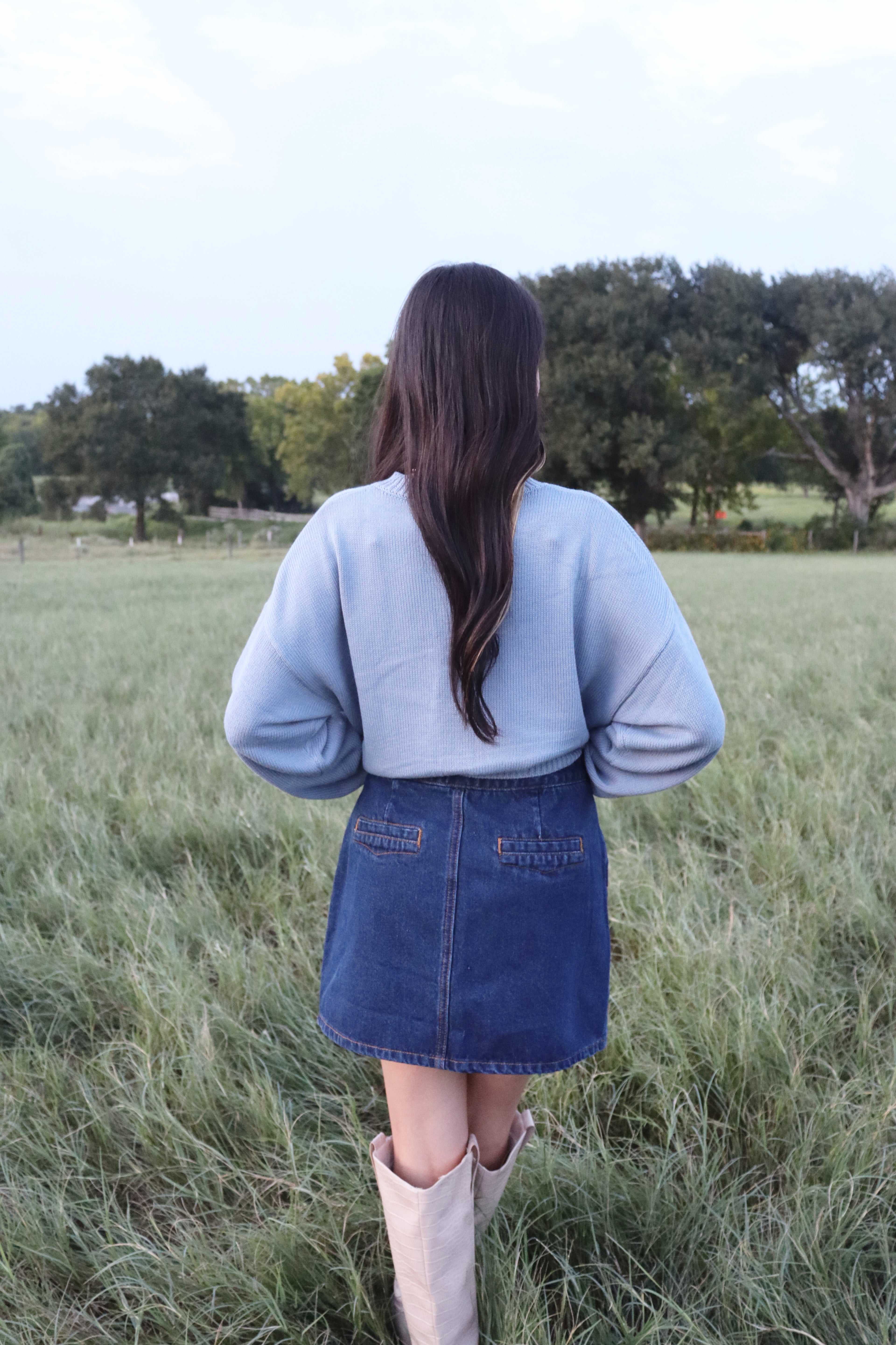 Penn Denim Skirt