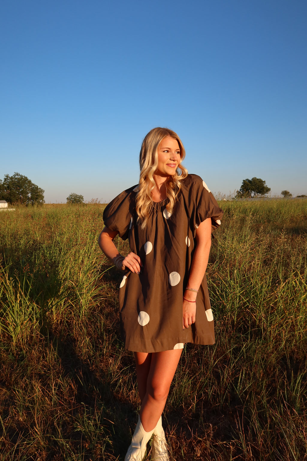 Tripp Brown Polka Dot Dress