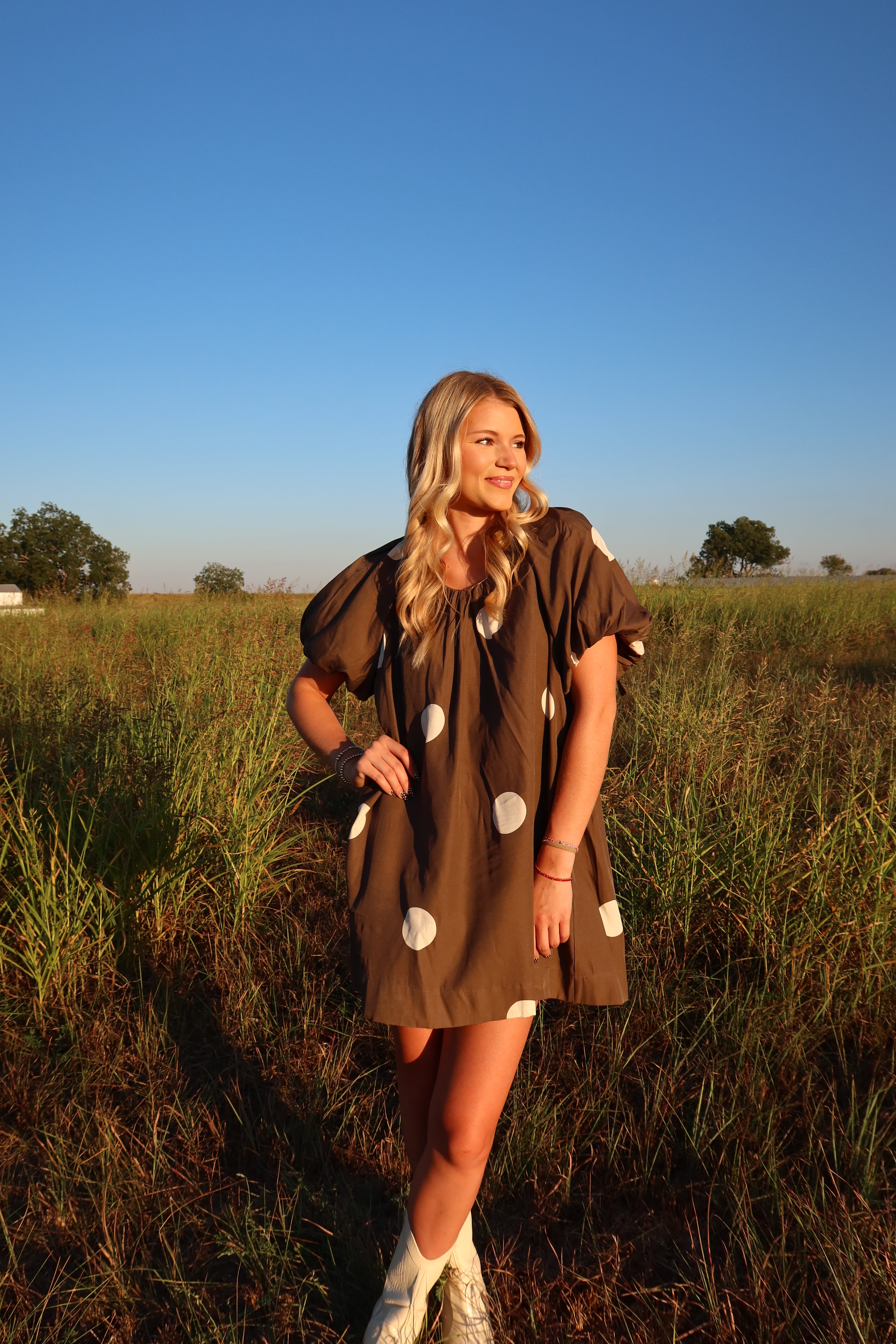 Tripp Brown Polka Dot Dress