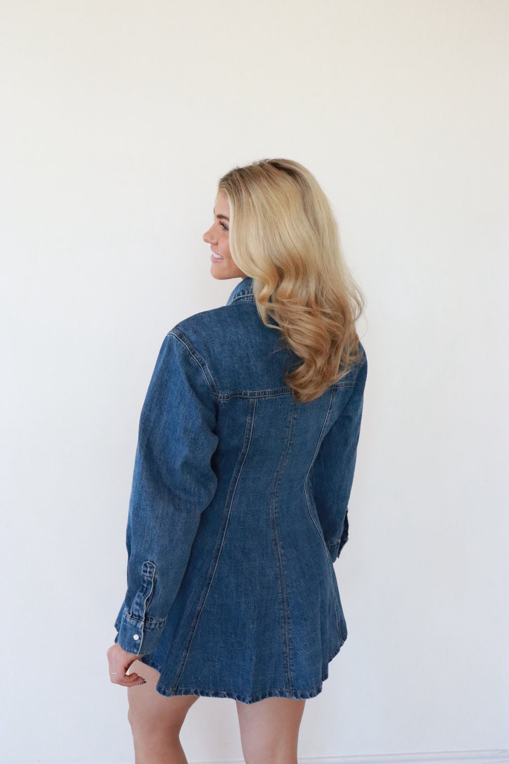 Miller Denim Dress