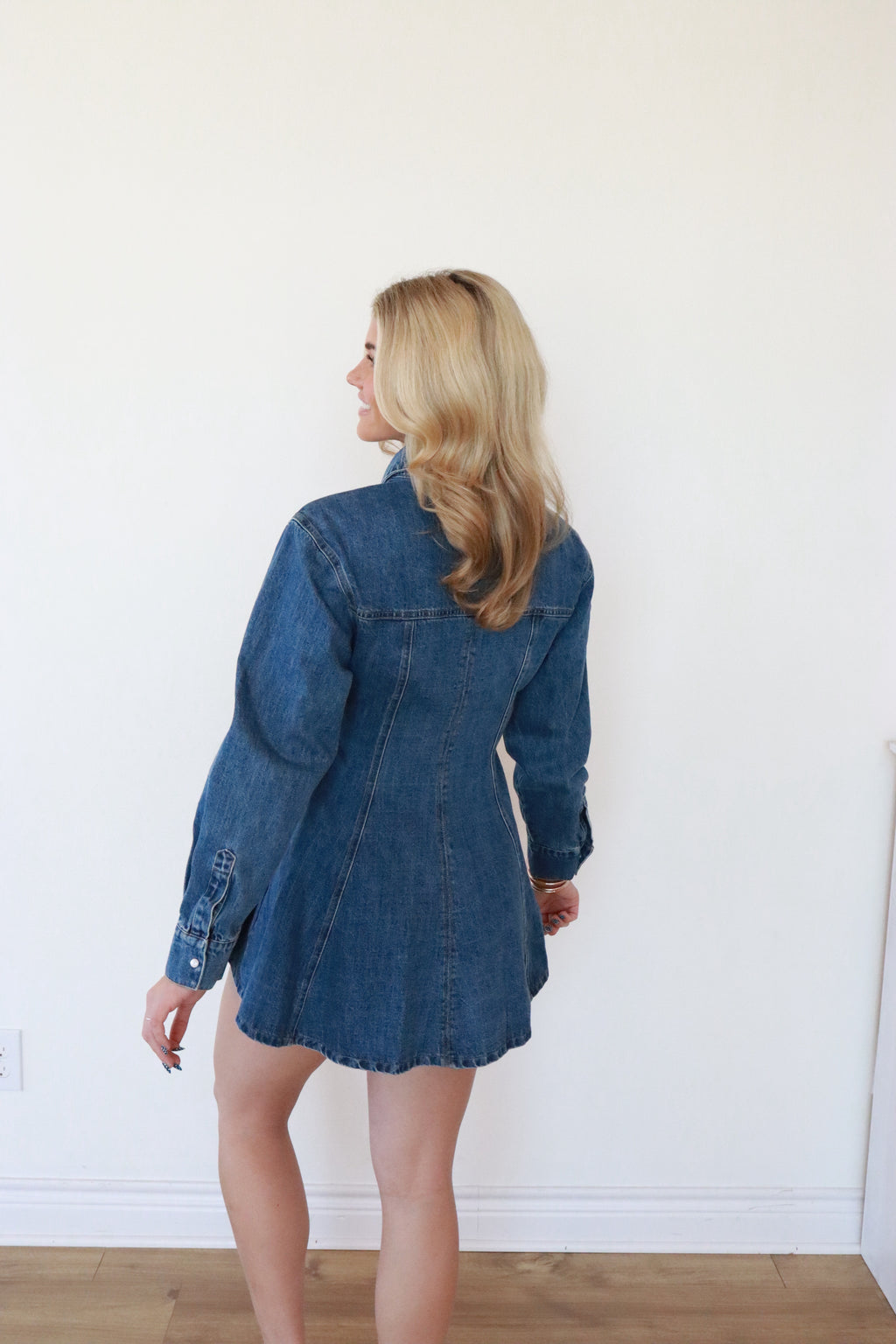 Miller Denim Dress