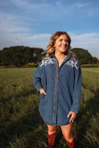 Ellison Denim Button-Down Dress