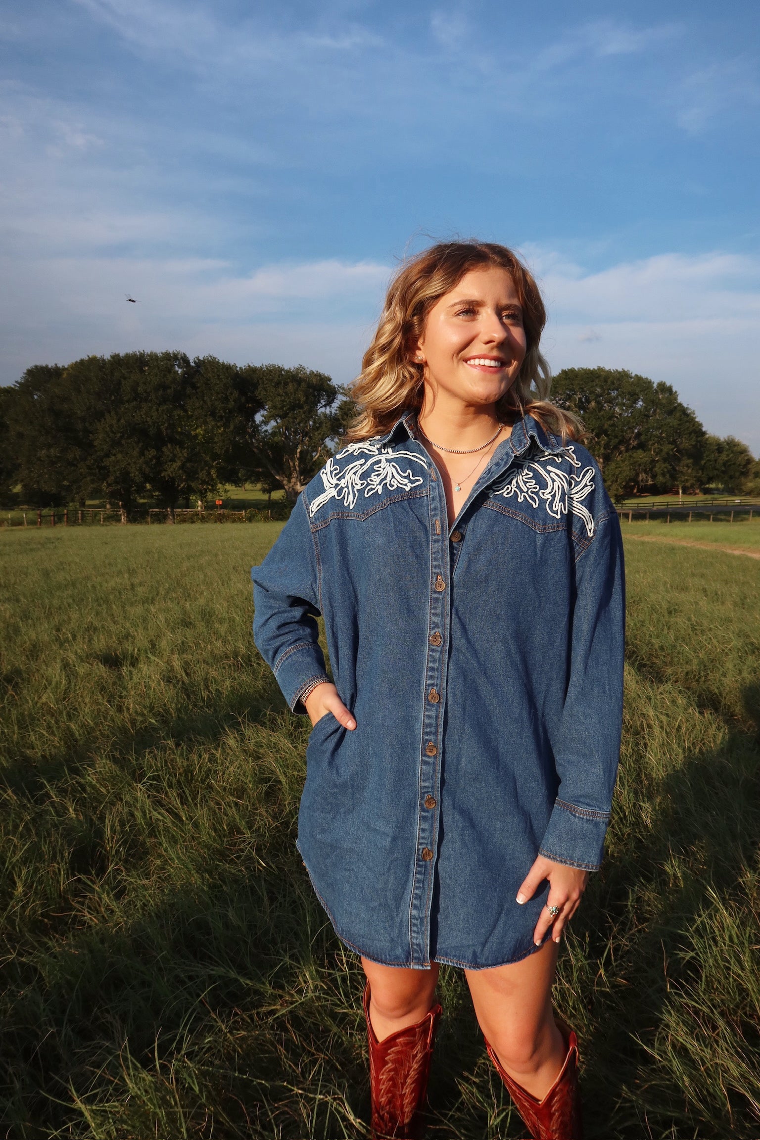 Ellison Denim Button-Down Dress