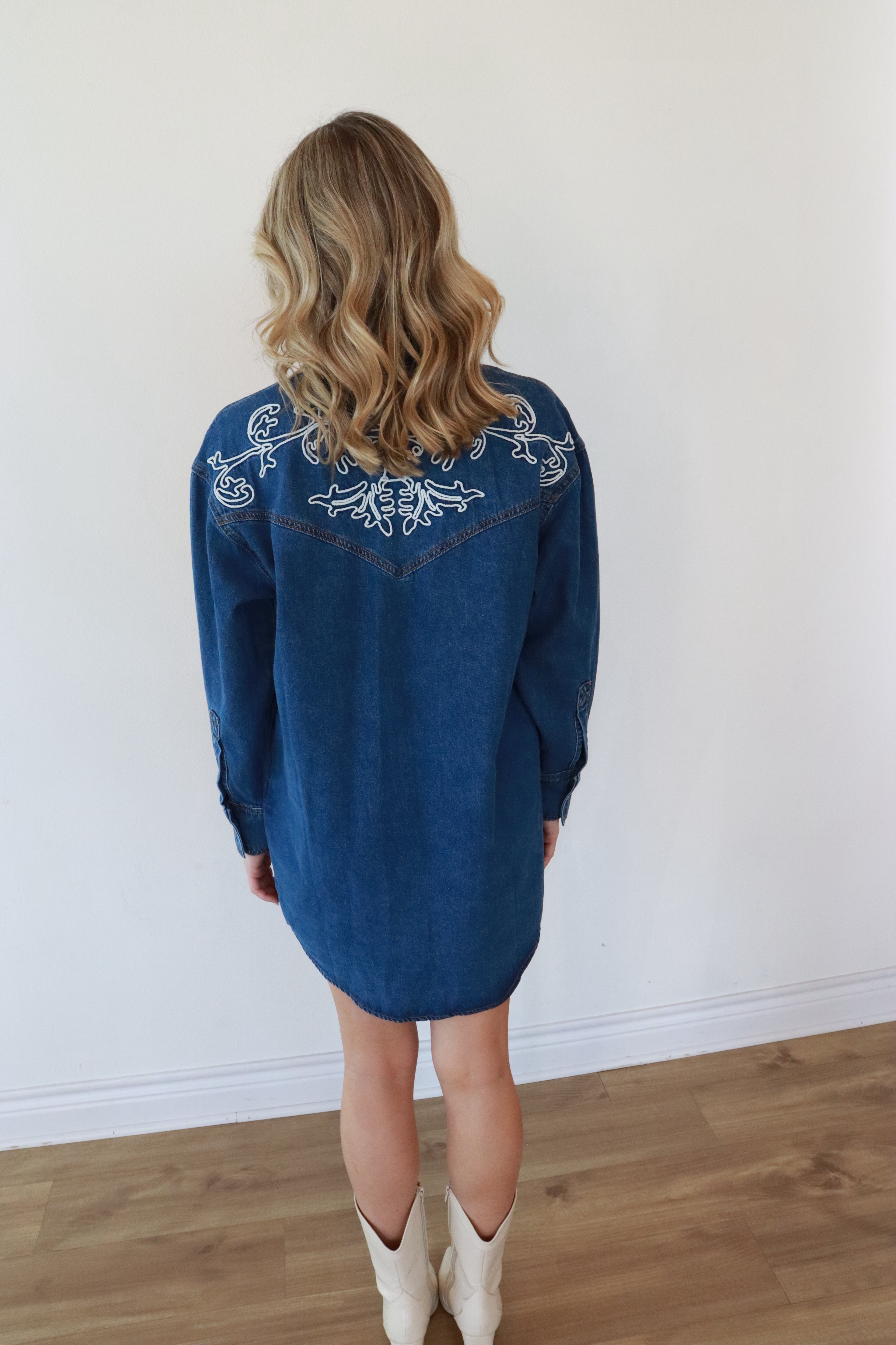 Ellison Denim Button-Down Dress