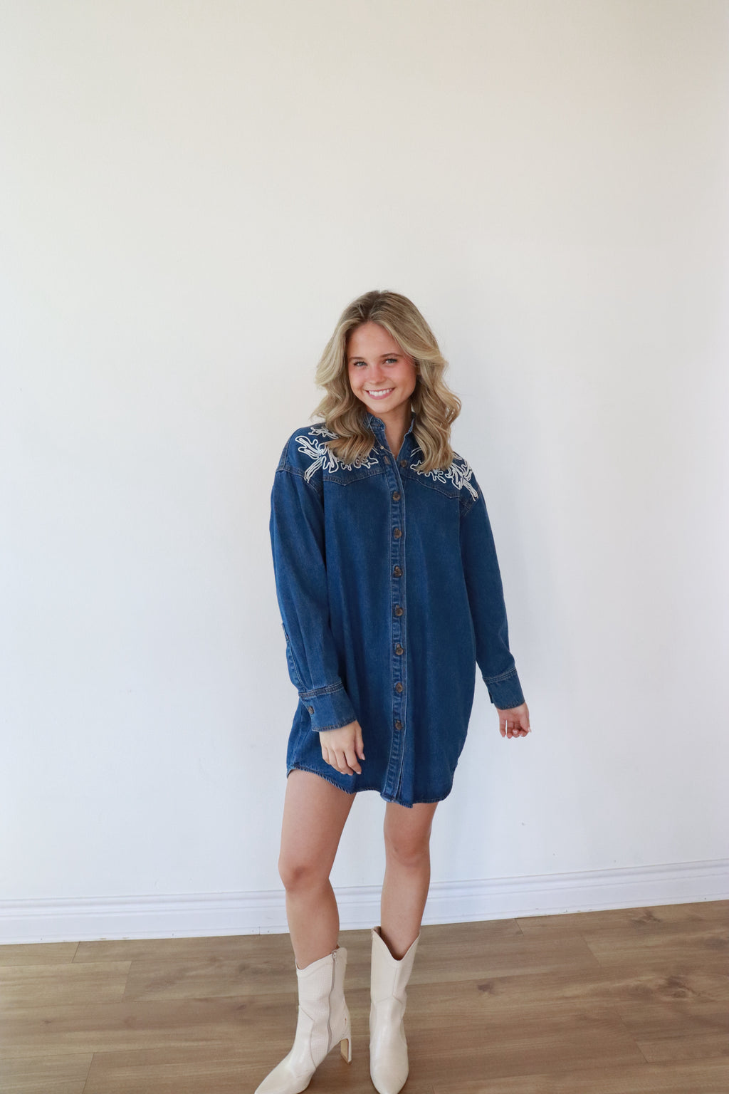 Ellison Denim Button-Down Dress