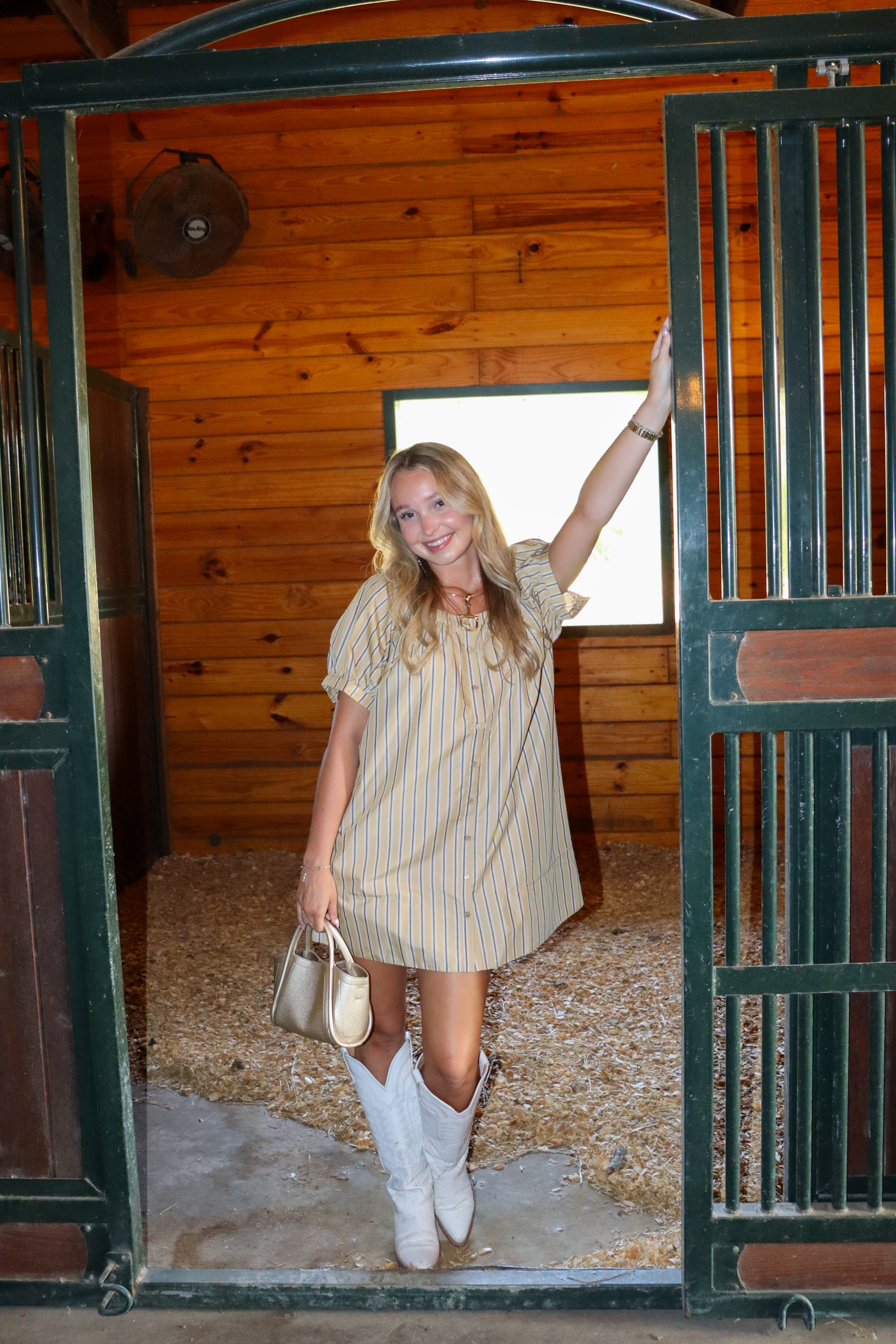 Jensen Striped Mini Dress
