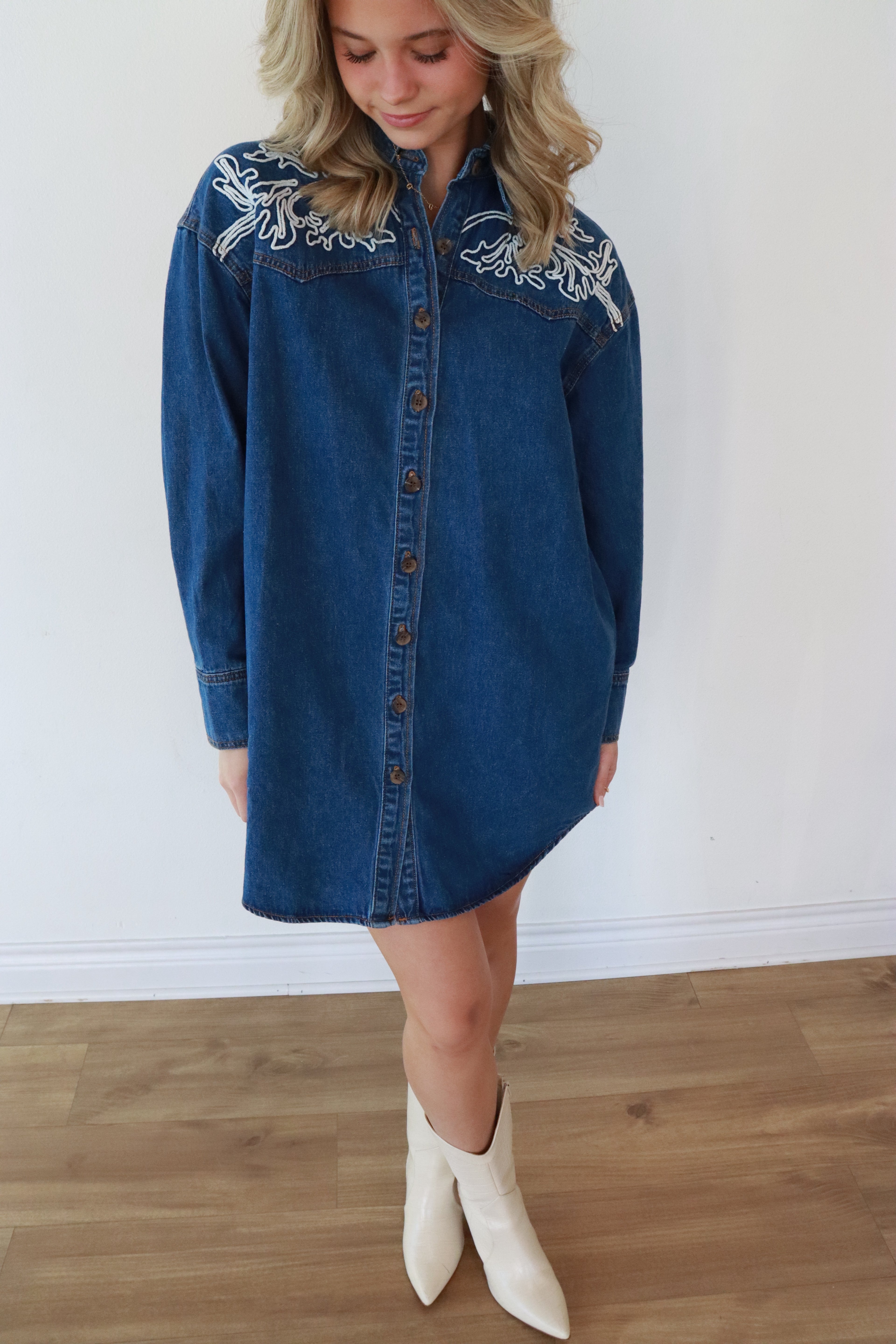 Ellison Denim Button-Down Dress