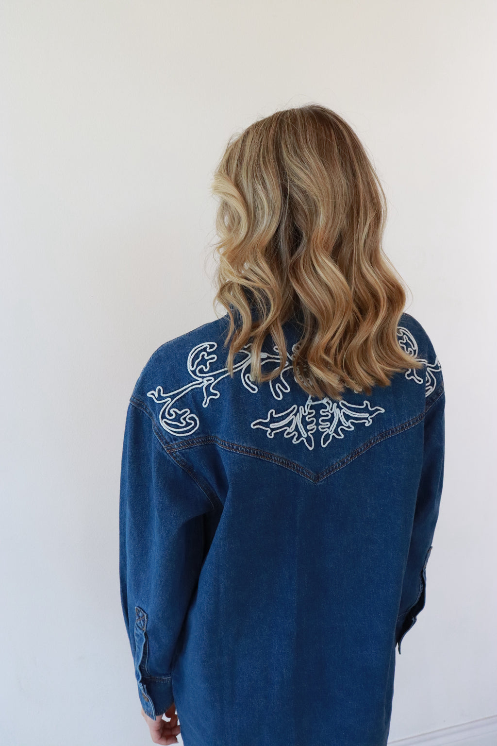 Ellison Denim Button-Down Dress