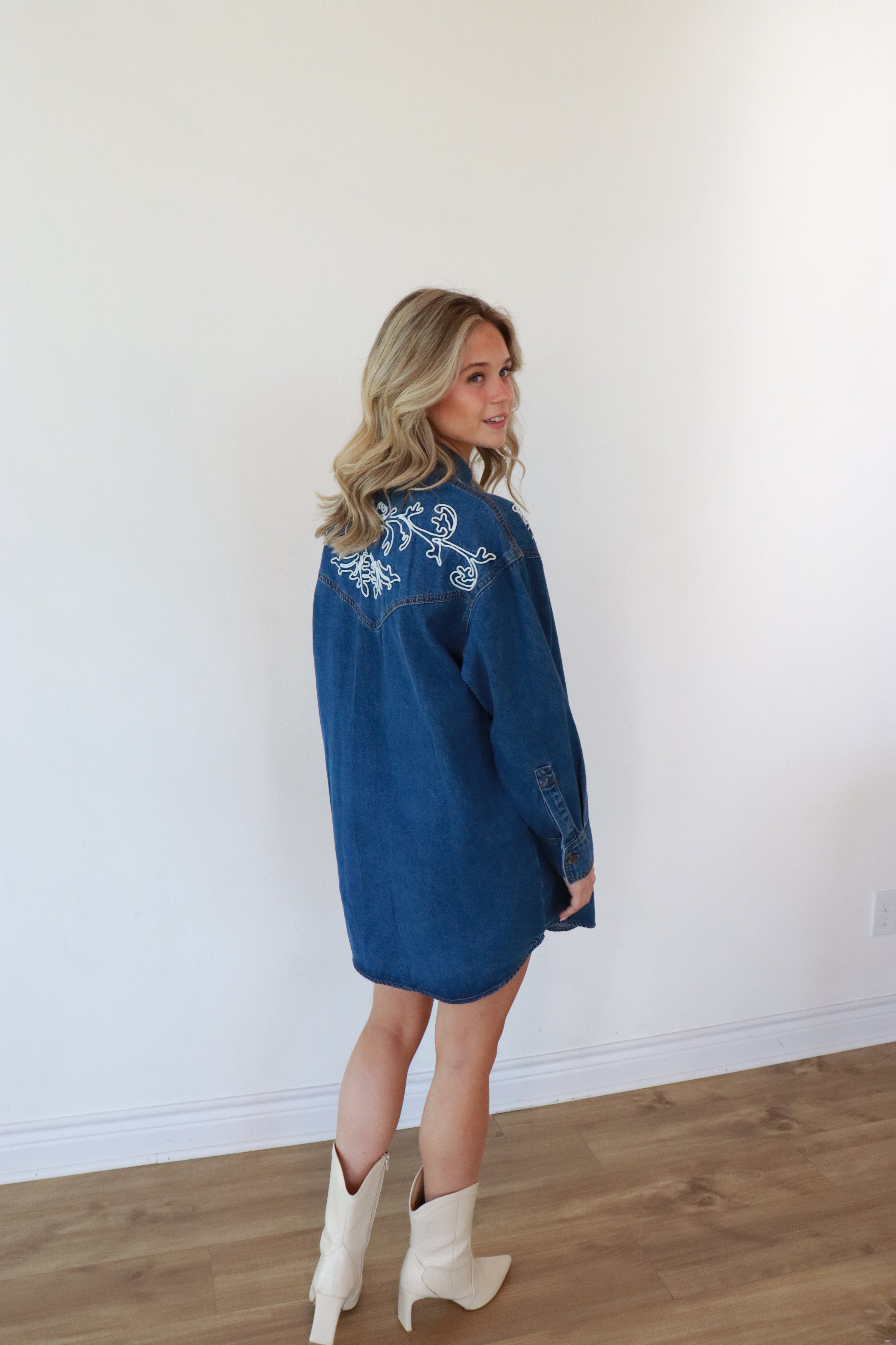 Ellison Denim Button-Down Dress