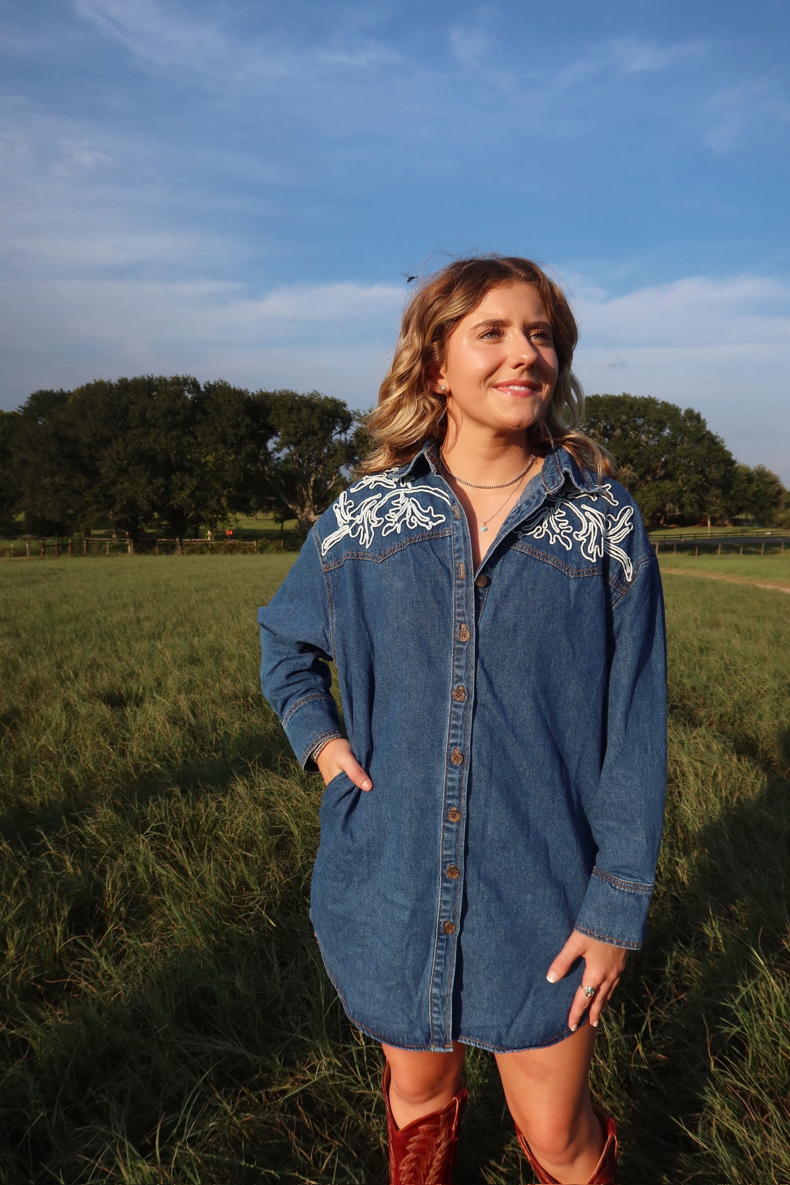 Ellison Denim Button-Down Dress