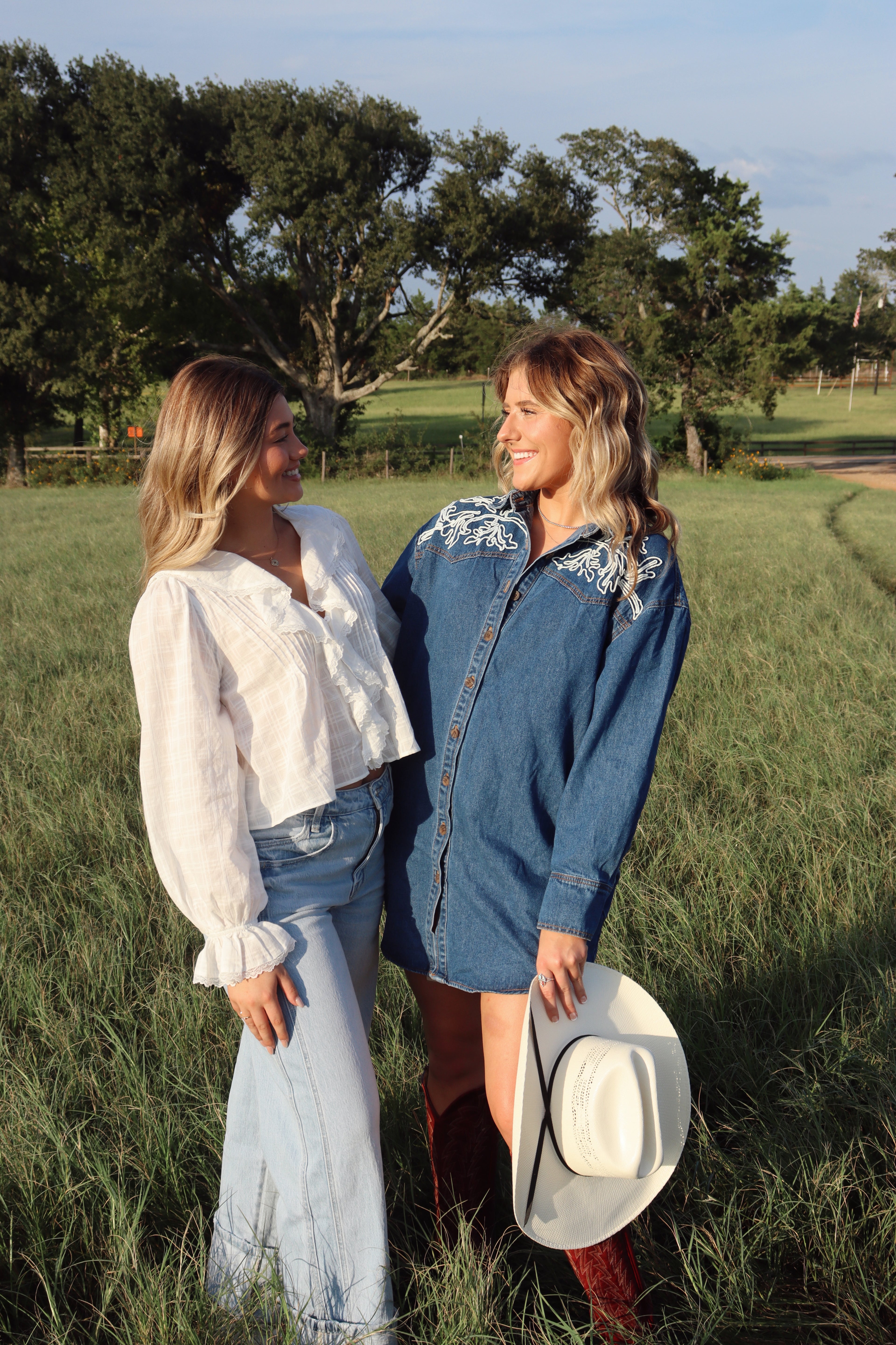Ellison Denim Button-Down Dress