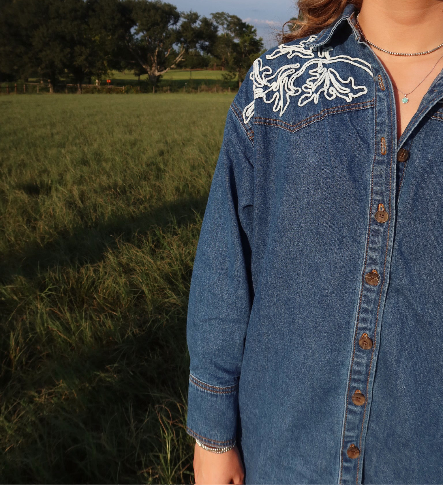 Ellison Denim Button-Down Dress