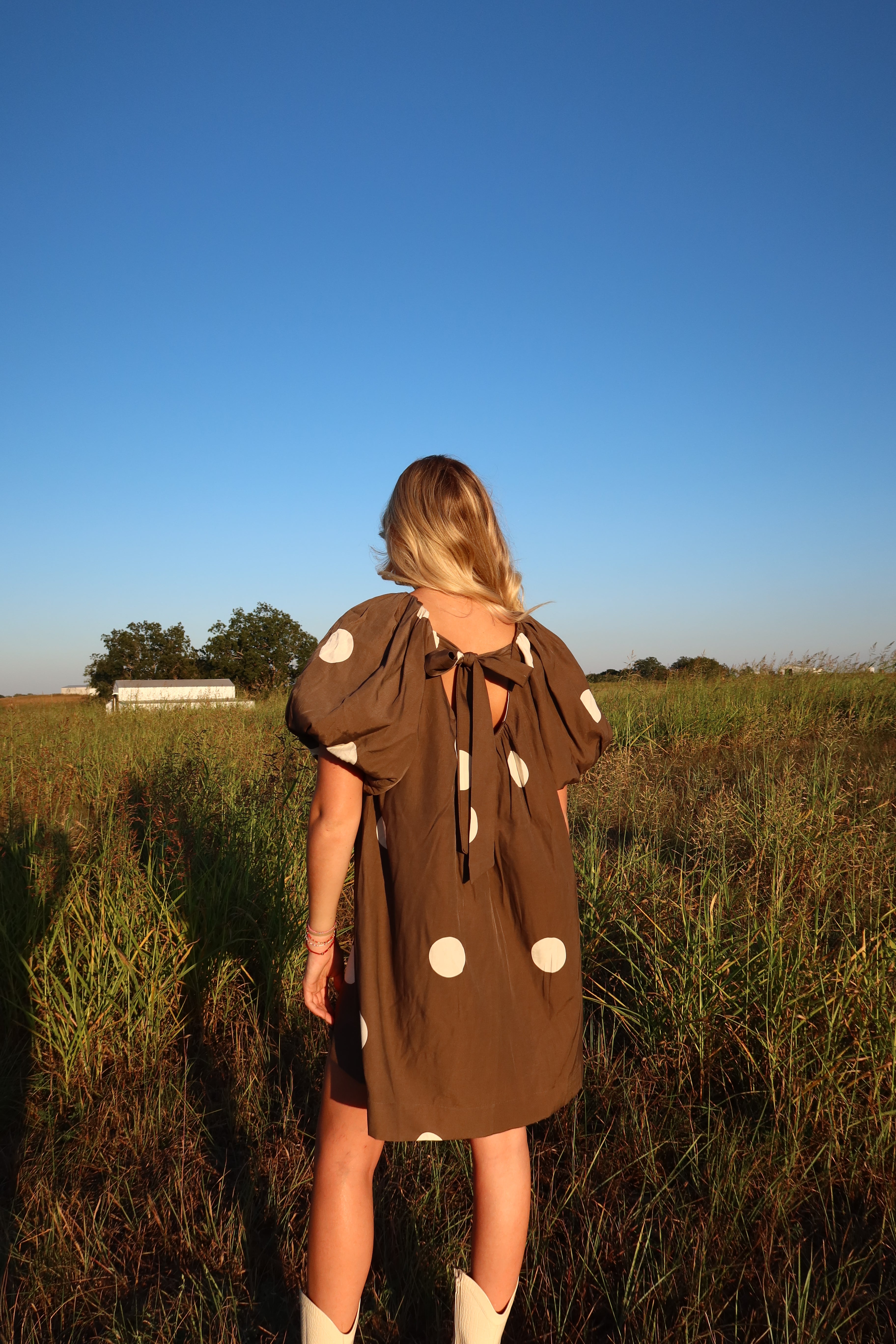 Tripp Brown Polka Dot Dress
