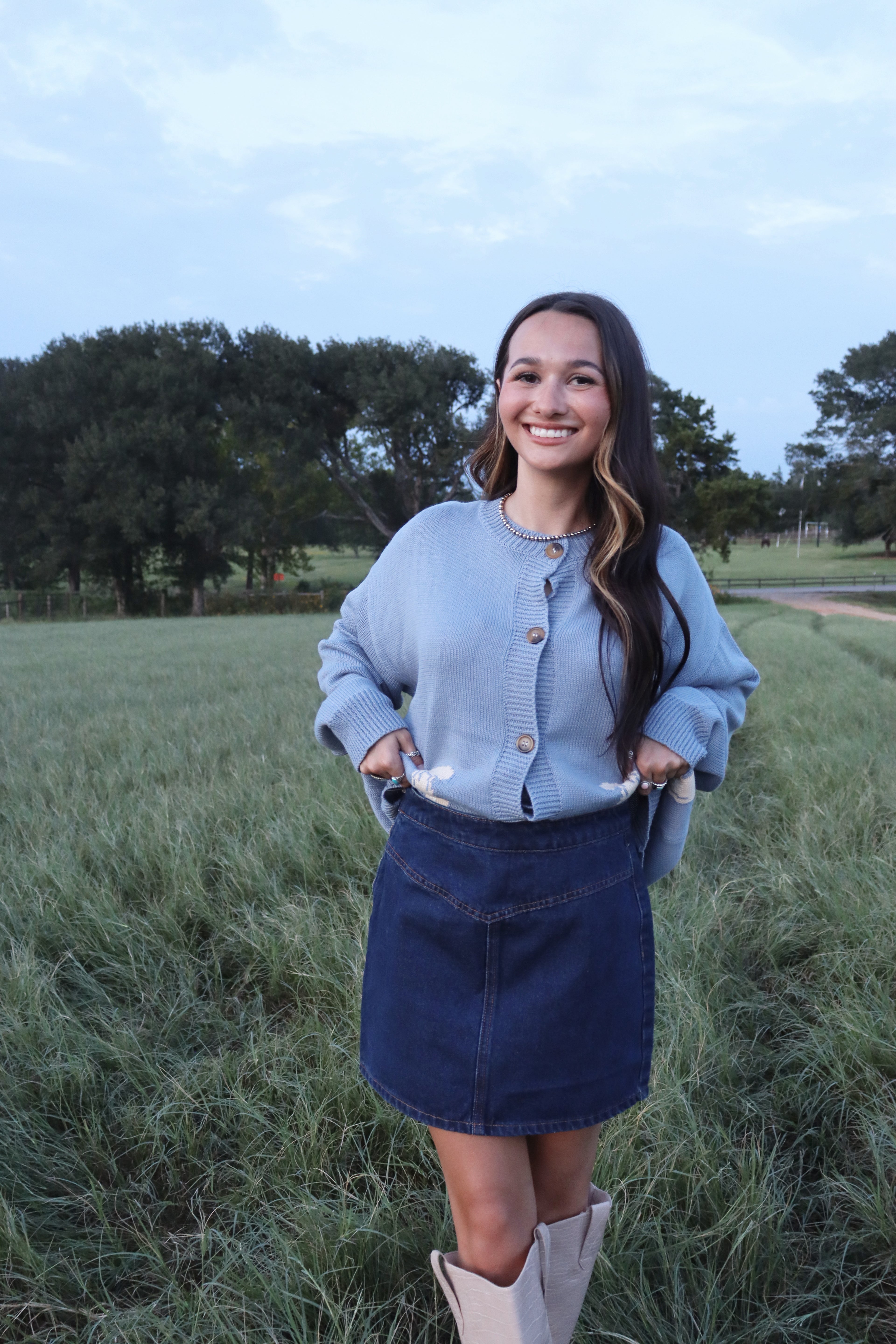 Penn Denim Skirt
