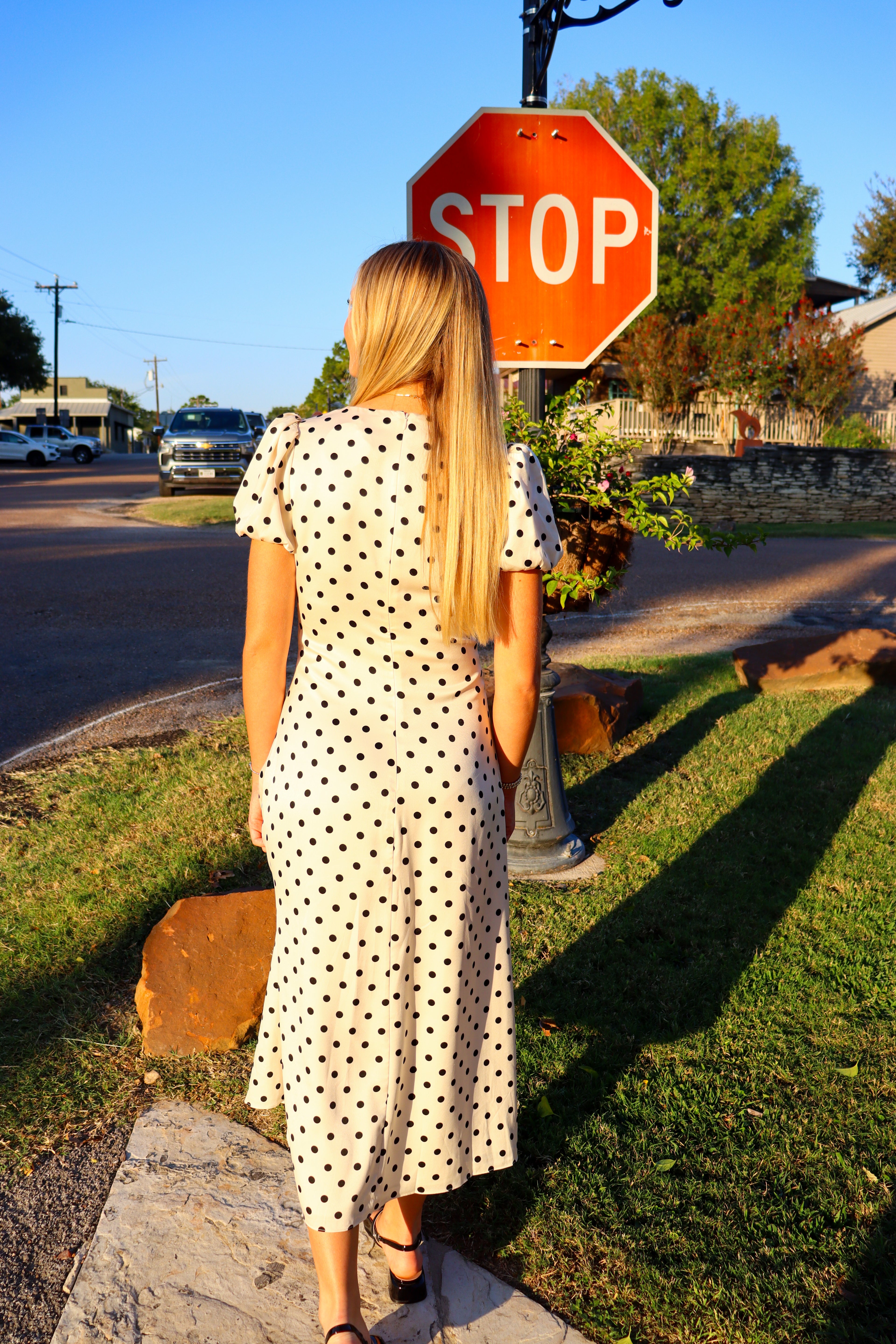 Leni Polka Dot Maxi Dress