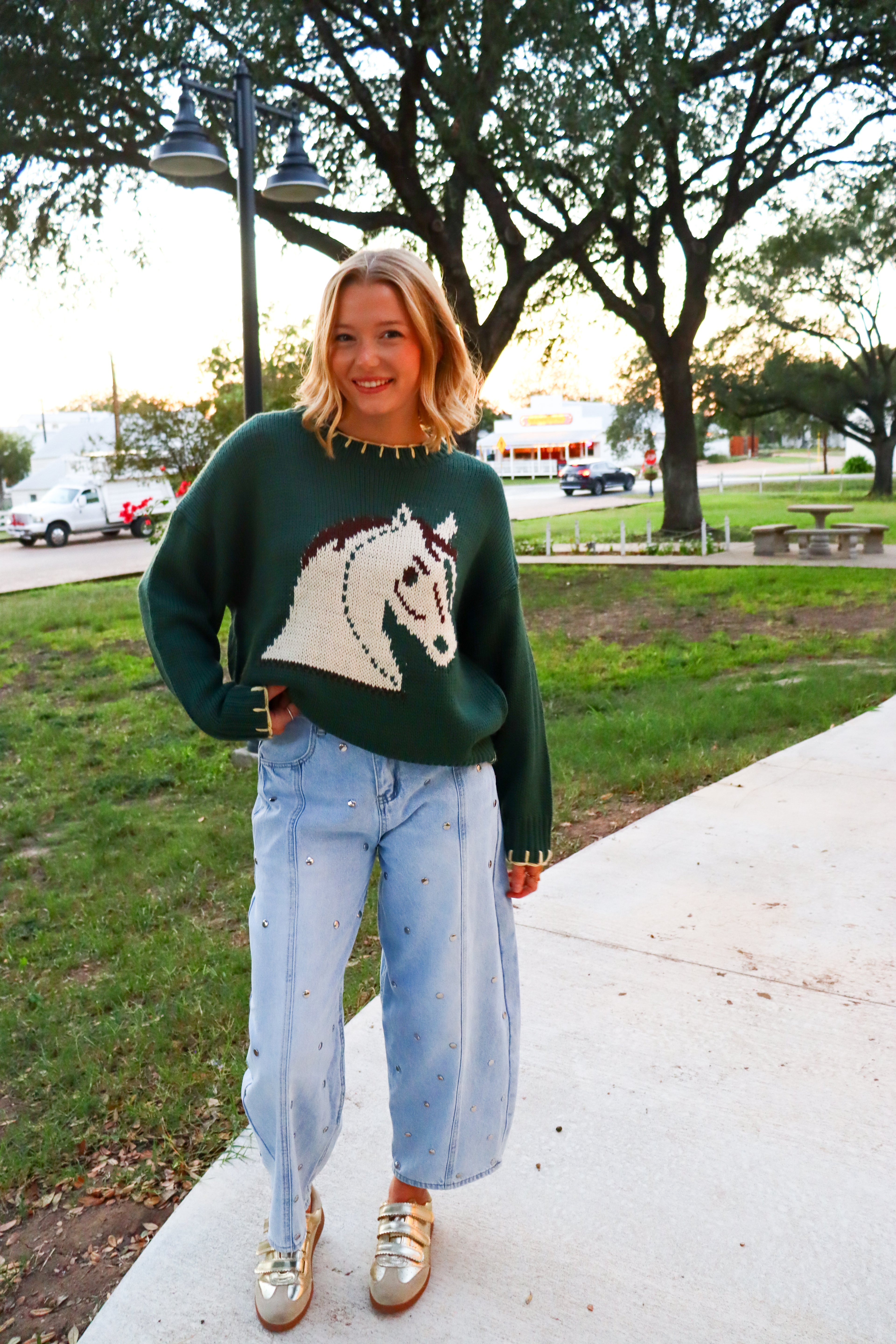 The Ranch Horse Sweater