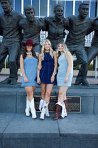 The Kyle Denim Colorblock Dress