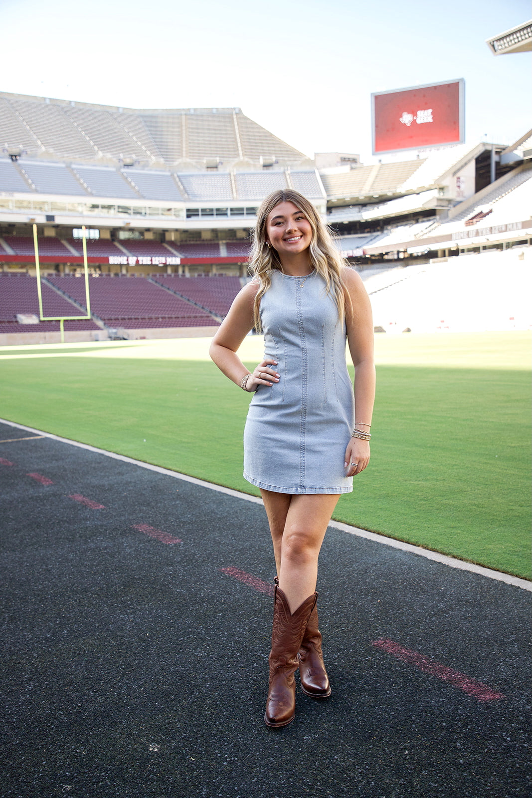 Parker Denim Dress